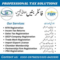 ( Professional Tax Solutions) Be Filer only one day and save tax