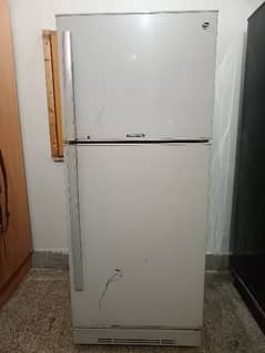 PEL Arctic Top of the line refrigerator