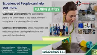 Janitorial Service/Sofa Cleaning Carpet/Rugs/Curtains/Blinds cleaning