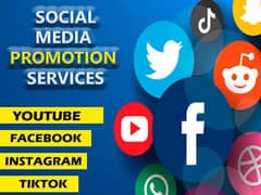 All Social  Media Service available hai
