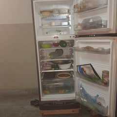 kenwood fridge