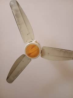 AC 220v fan