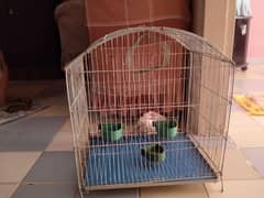 8 month used cage hai condition 10/8
