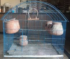 Steel cage and wood cage for parrots