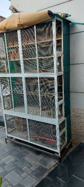 Cage  Birds Cage   Iron Cage   Pinjra   Parrot Cagr   پرندوں کا پنجرا 4