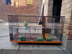 Birds cage for sell