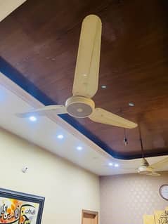 Lahore Ceiling Fan