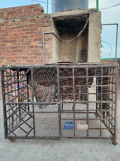 Heavy Iron Cage for Hen or Pets