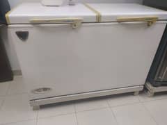 WAVES COOL BANK FREEZER FOR SALE