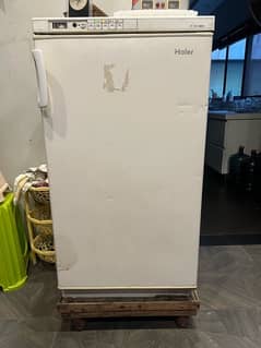 Haier Thermocool standing freezer