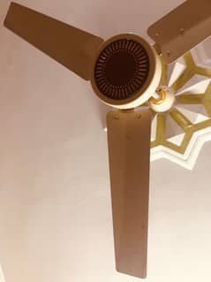 ceiling fan 55watt
