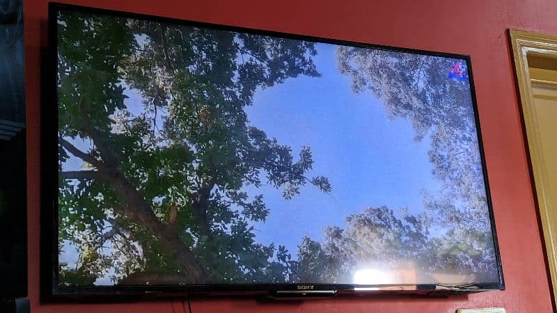 Sony Bravia R56 C 48inch 3