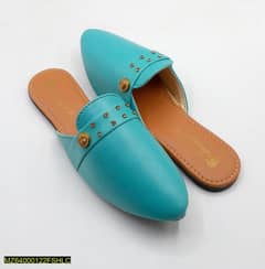 Ladies shoe and slipper