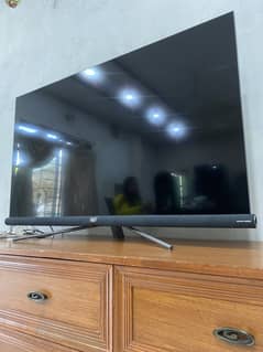 Tcl c6 55 inches