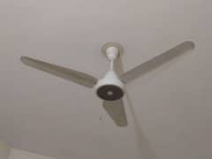 Ceiling fan for sale AC Fan ha