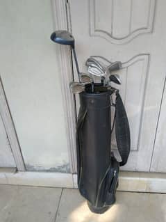 Essential Golf Clubs (one-third set(8 clubs) with bag