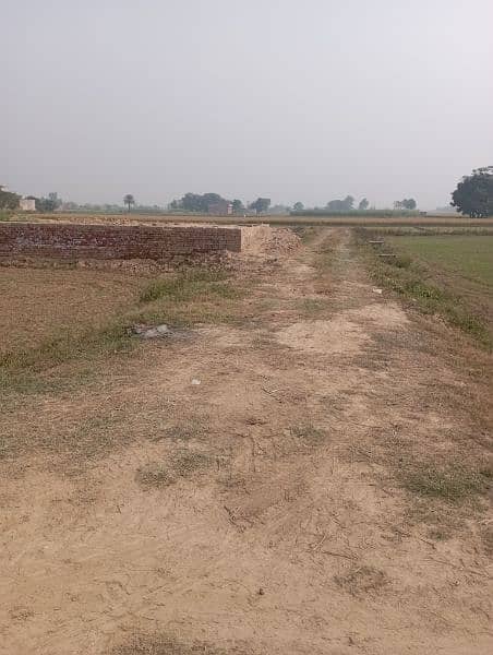 Daska. sambrial road Bhopalwala plots for sale 6