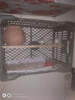 I am selling cages . it is a hand made cages for parrots Finches.