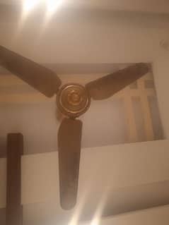 ceiling fan good condition best GFC fan