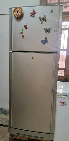 Pel Fridge Refrigerator good condition
