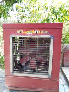 Air cooler with strong blow