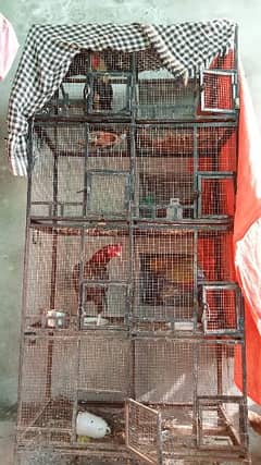 cage for hens