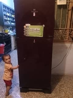 fridge Fore sale Dawlnce Compenny. . . .