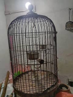 cage of parrot