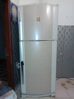 Refrigerator for selling