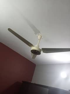 Ceiling fan for sell 0