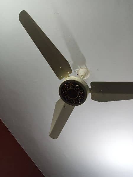 Ceiling fan for sell 2