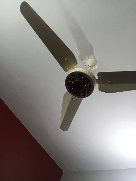 Ceiling fan for sell 3
