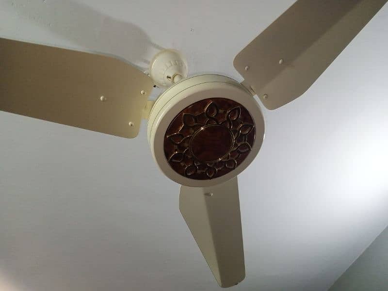 Ceiling fan for sell 4