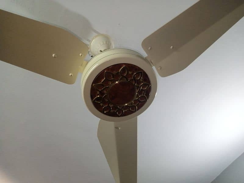 Ceiling fan for sell 5