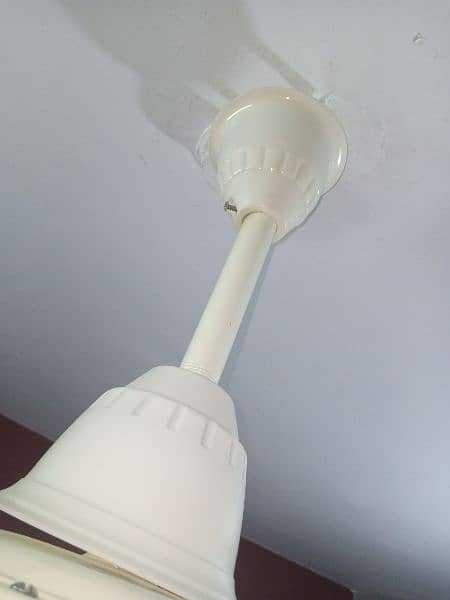 Ceiling fan for sell 6