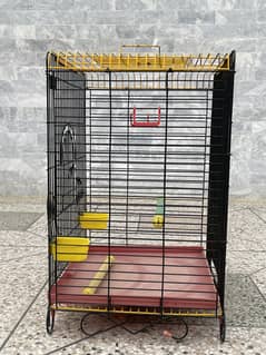 High Quality Bird cage for sale
