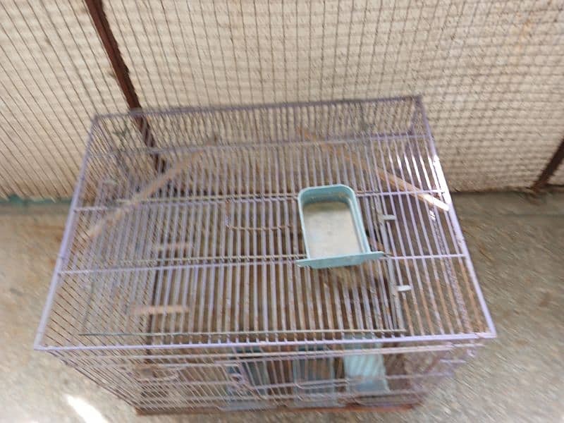 loot sale of birds piggne  cage in purple colour 6