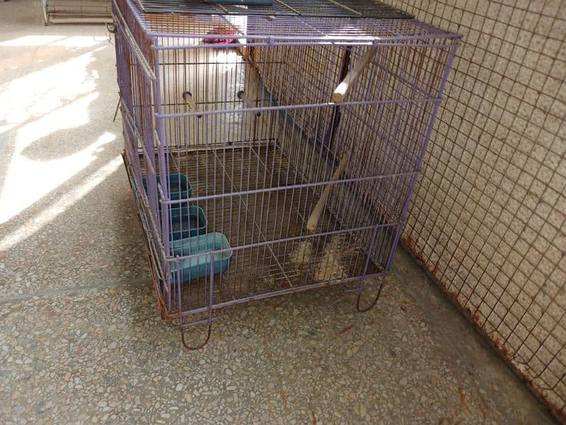 loot sale of birds piggne  cage in purple colour 7