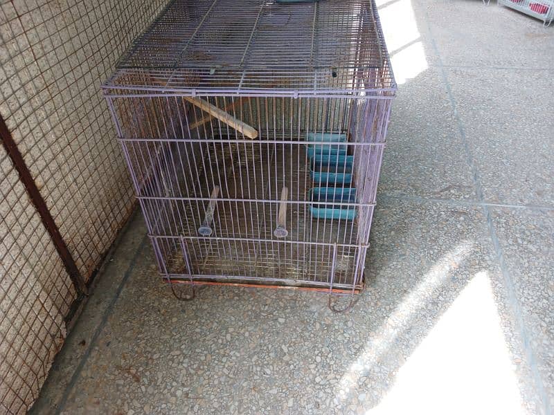 loot sale of birds piggne  cage in purple colour 8