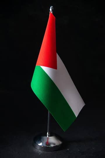 Palestine Flag and Muffler to Show Solidarity with Palestinian Peoples 4