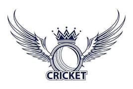 All Cricket accessories available