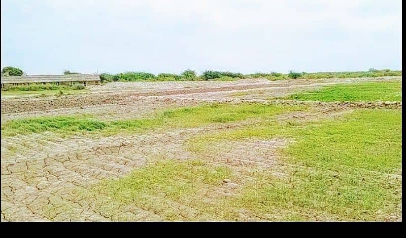 Agriculture Land 8 Acre Near Lait Village for sale 7