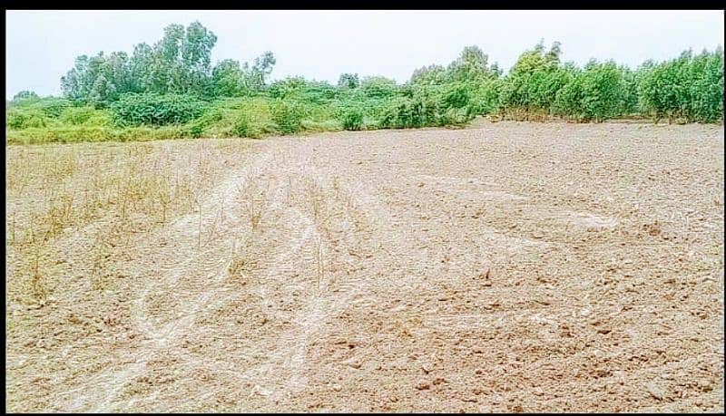 Agriculture Land 8 Acre Near Lait Village for sale 9