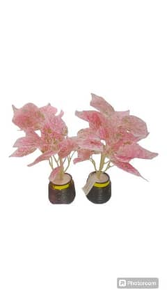 2 Piece's of Artificial flowers with vase pot, basket. for home