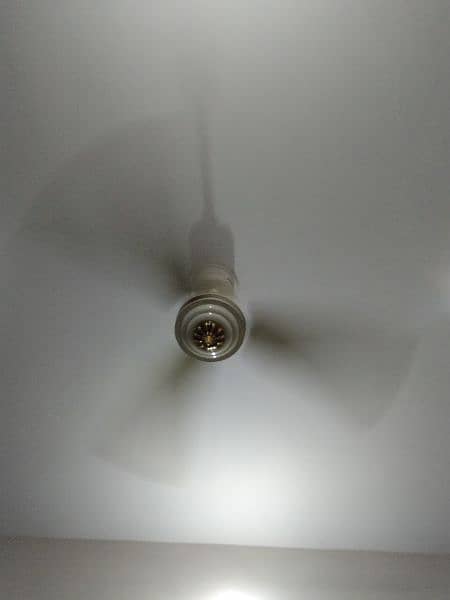 Fan For sale 1