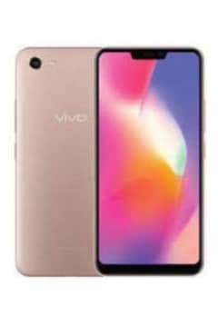 vivo