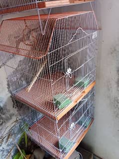 2 piece available Double story Cage per cage 5200