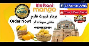 Multan Mango