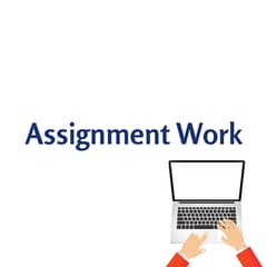 Writing Work| Typing work| Remote Job| Assignment Work |homebased work