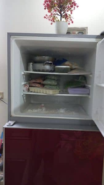 Haier Refrigerator Large Size 6